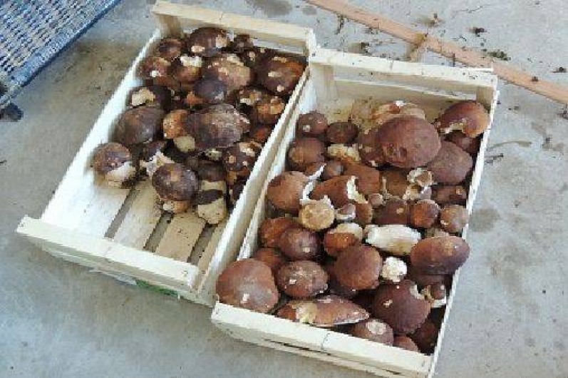 Location de vacances - Roulotte à Sadroc