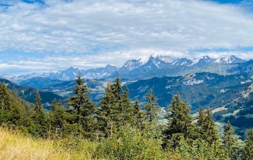 Location de vacances - Chalet à Megève - au pays du mon tblanc