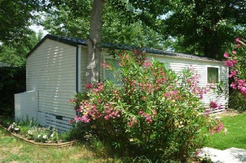 Location de vacances - Camping à Saint-Aygulf