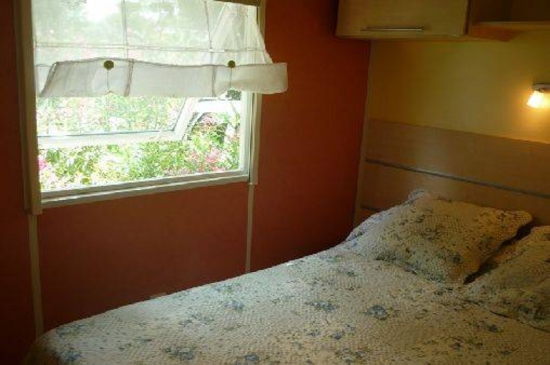 Location de vacances - Camping à Saint-Aygulf