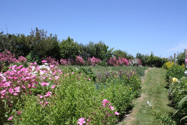 Location de vacances - Gîte à Saint-Pol-de-Léon - Jardin-potager