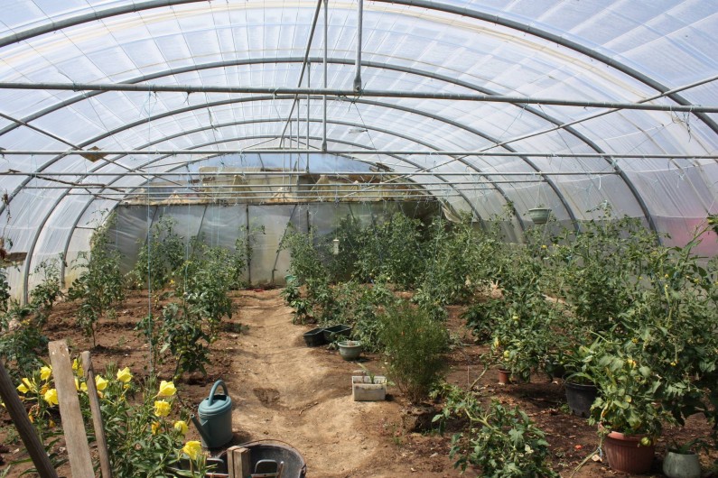 Location de vacances - Gîte à Saint-Pol-de-Léon - Jardin-potager