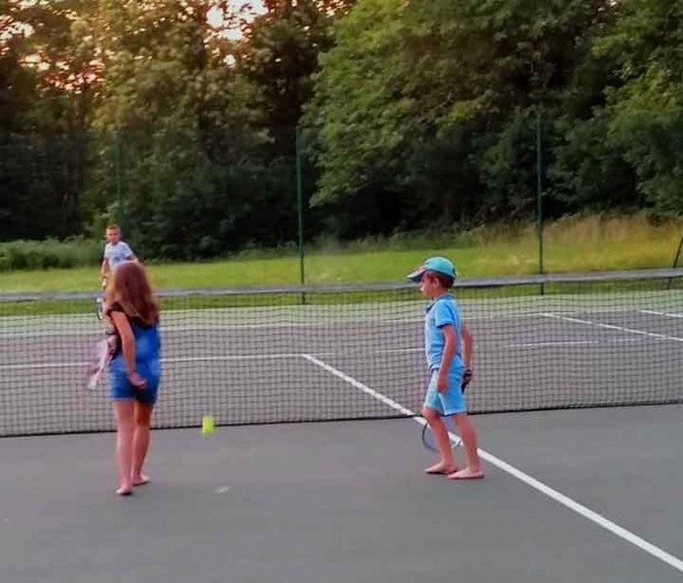 Location de vacances - Gîte à Bouillac