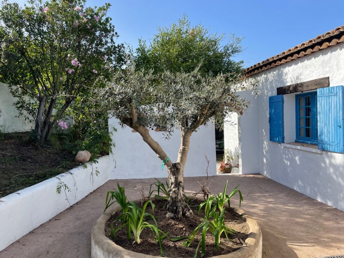 Location de vacances - Villa à Porticcio