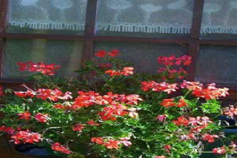 Location de vacances - Gîte à Vénosc