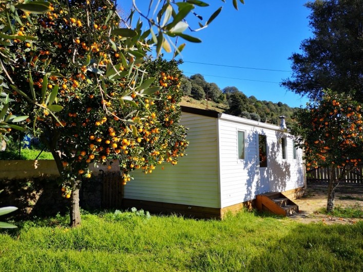 Location de vacances - Bungalow - Mobilhome à Ocana