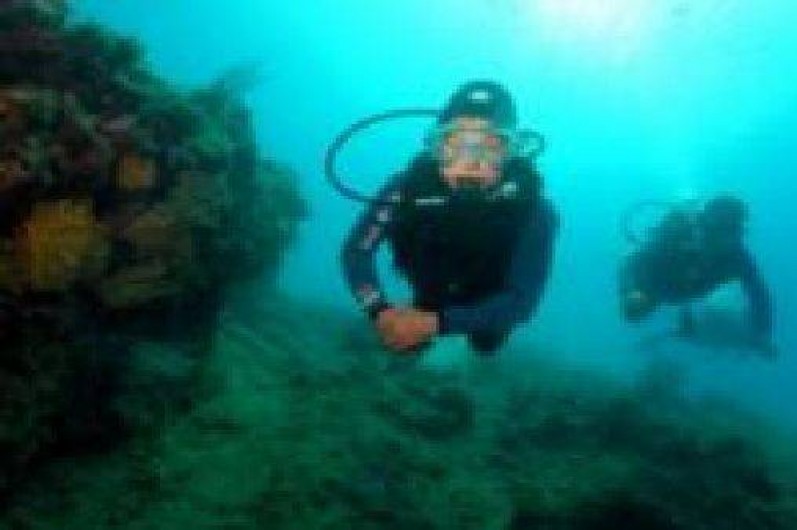 Location de vacances - Appartement à Frontignan