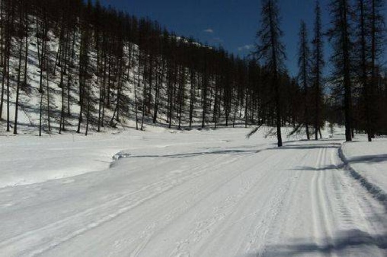 Location de vacances - Appartement à Puy-Saint-Vincent