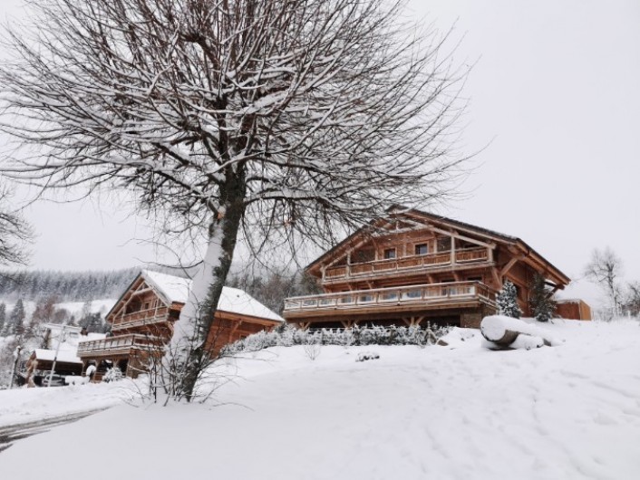 Location de vacances - Chalet à Belmont