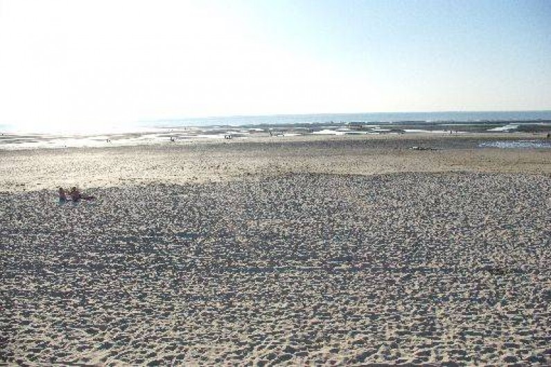 Location de vacances - Maison - Villa à Fort-Mahon-Plage - Vue de la plage un matin