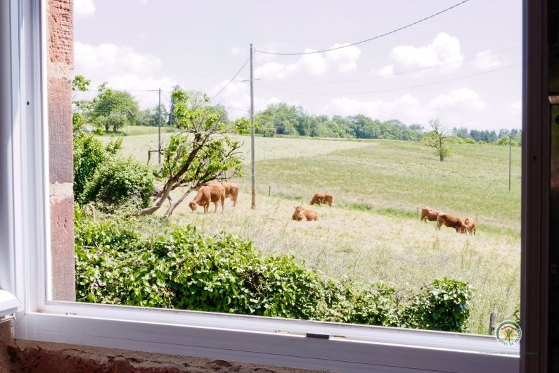 Location de vacances - Villa à Lagleygeolle