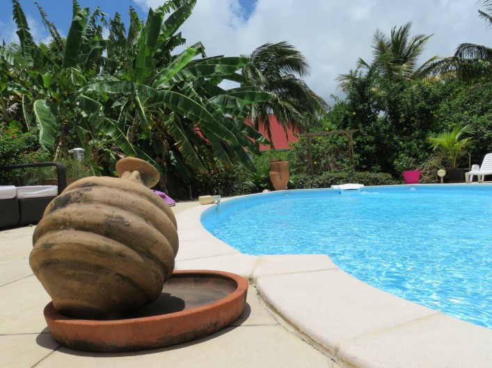 Location de vacances - Gîte à Le Moule - La piscine