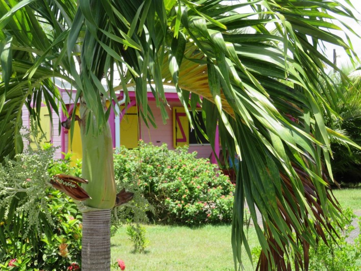Location de vacances - Gîte à Le Moule - Gite vue du Jardin
