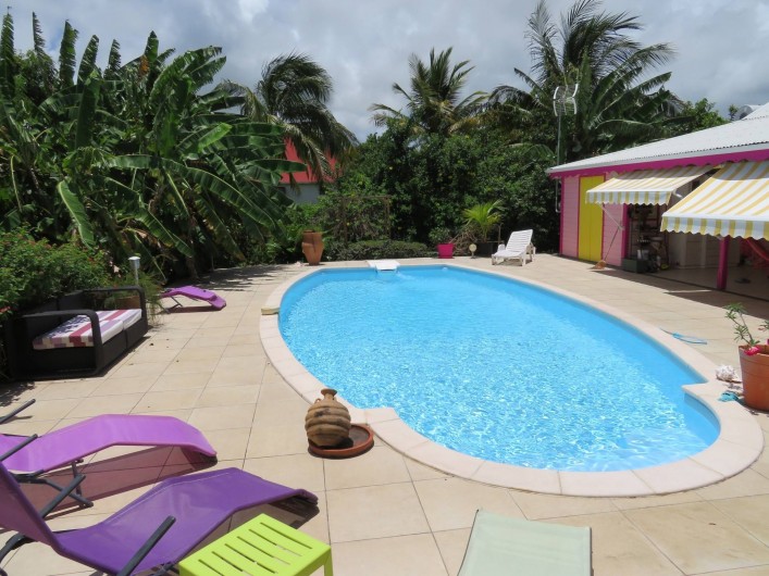 Location de vacances - Gîte à Le Moule - La grande piscine et la bananeraie