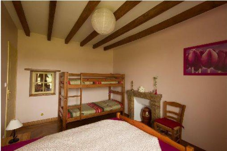 Location de vacances - Gîte à Chalonnes-sur-Loire