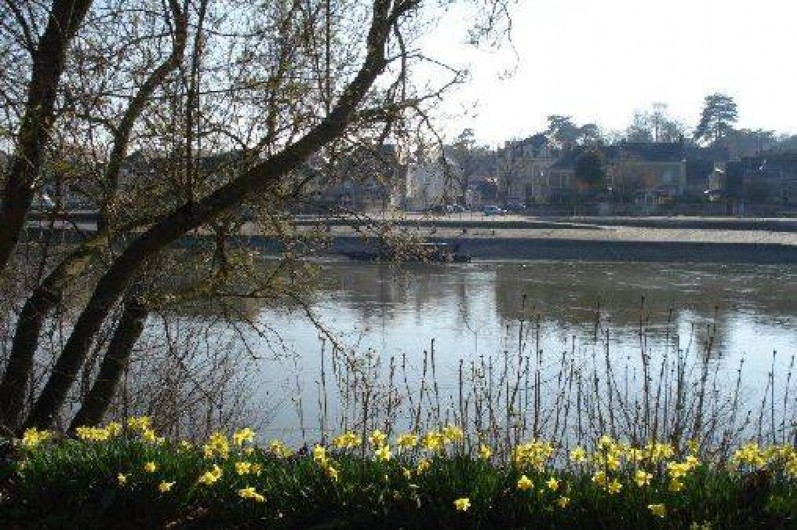 Location de vacances - Gîte à Chalonnes-sur-Loire