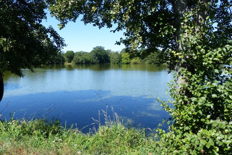 Location de vacances - Chalet à Champagnat - Etang de Malleteix (4 hectares) réservé à la pêche no-kill