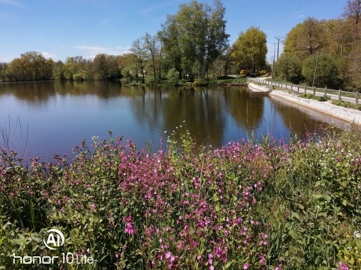 Location de vacances - Chalet à Champagnat - L'étang de Malleteix au printemps