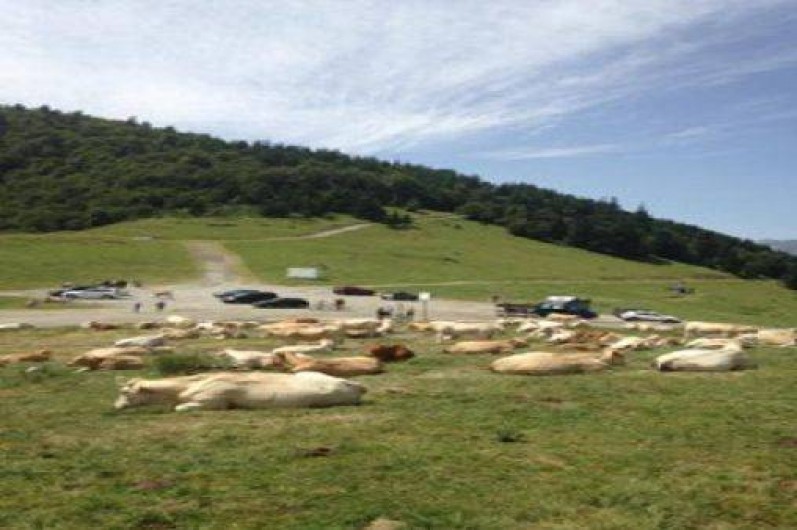 Location de vacances - Studio à Bagnères-de-Bigorre