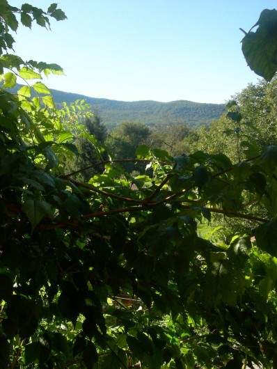 Location de vacances - Appartement à Casalzuigno