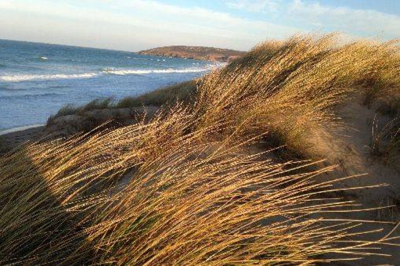 Location de vacances - Villa à Surtainville