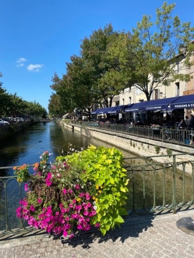 Location de vacances - Maison - Villa à L'Isle-sur-la-Sorgue