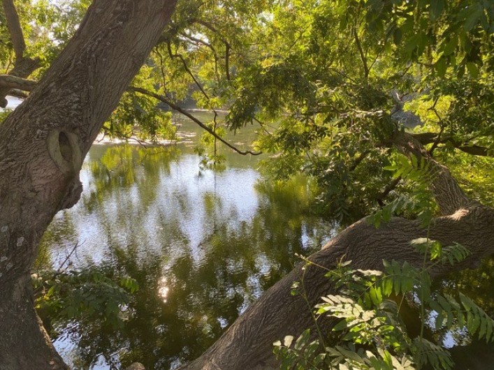 Location de vacances - Maison - Villa à L'Isle-sur-la-Sorgue