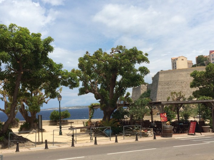 Location de vacances - Appartement à Calvi