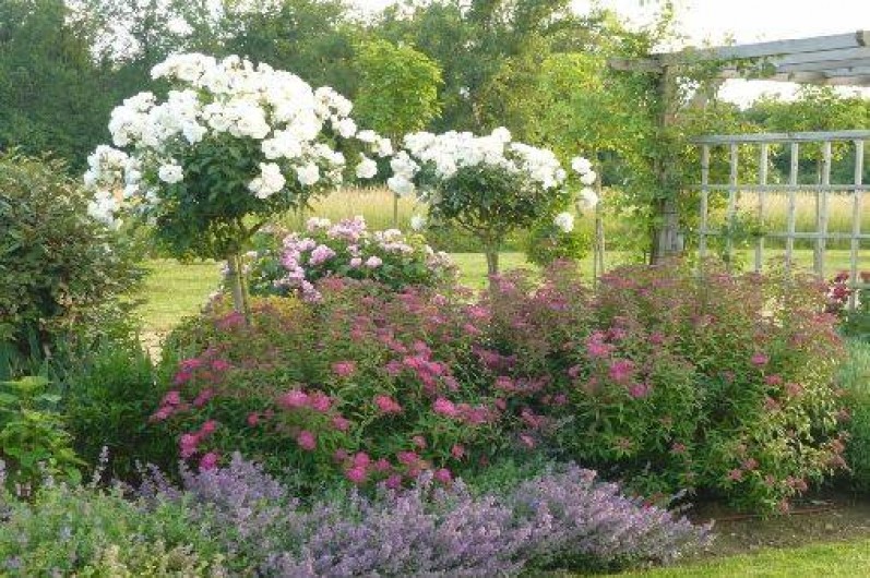 Location de vacances - Maison - Villa à Draché - Jardin anglais - parc de 2 hec