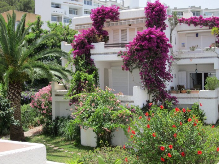 Location de vacances - Appartement à Santa Eulària des Riu