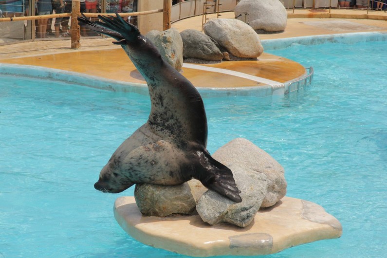 Location de vacances - Appartement à Cagnes-sur-Mer - Marineland