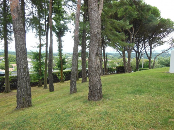 Location de vacances - Appartement à Bidart - Vue sur parc