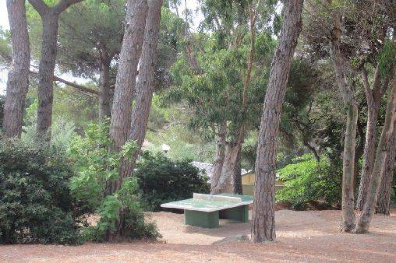 Location de vacances - Studio à Sainte-Maxime