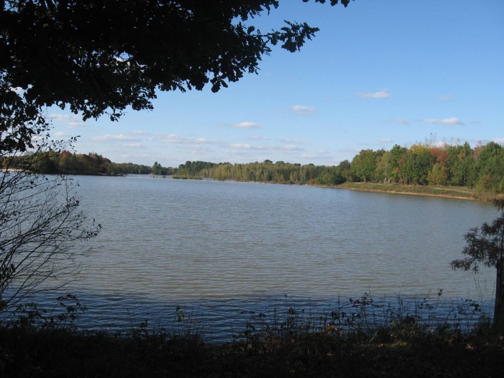 Location de vacances - Gîte à Souesmes - étang privé - PECHE - BAIGNADE