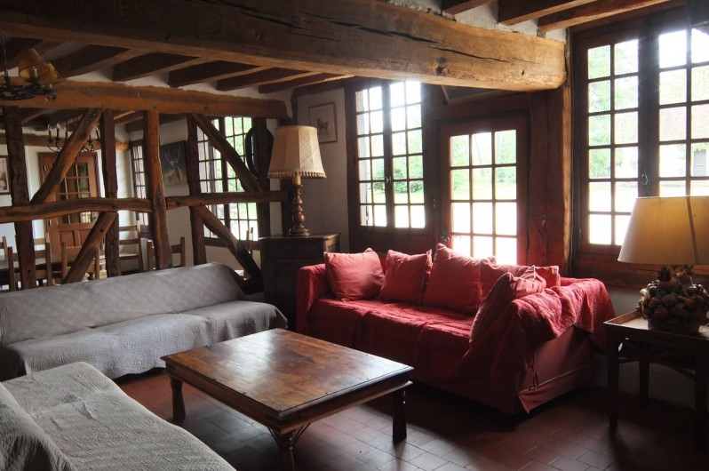 Location de vacances - Gîte à Souesmes - salon au coin du feu