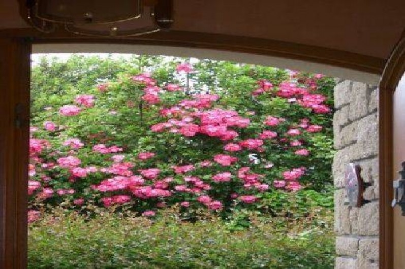 Location de vacances - Appartement à Quiberon