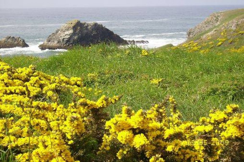 Location de vacances - Appartement à Quiberon