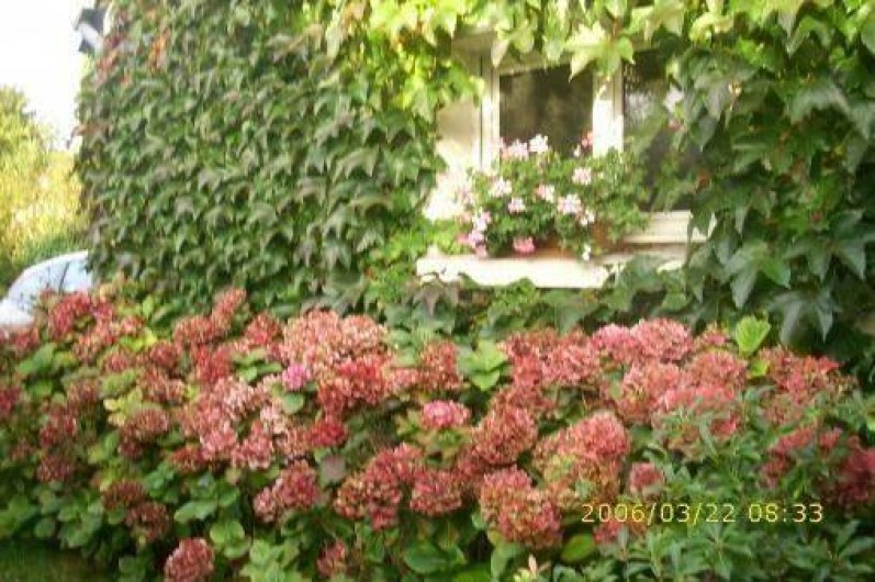 Location de vacances - Appartement à Quiberon