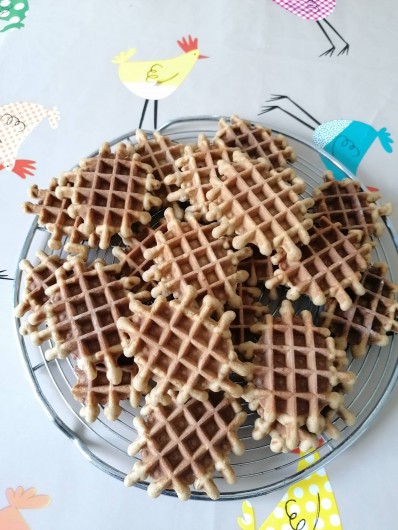 Location de vacances - Gîte à Alzon