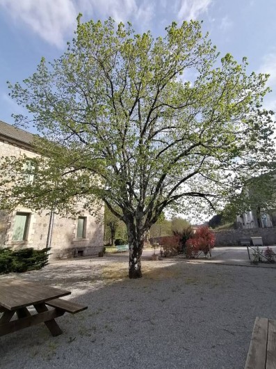 Location de vacances - Gîte à Alzon