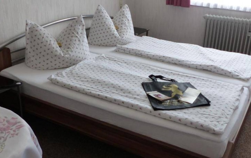 Location de vacances - Hôtel - Auberge à Vieux-Brisach