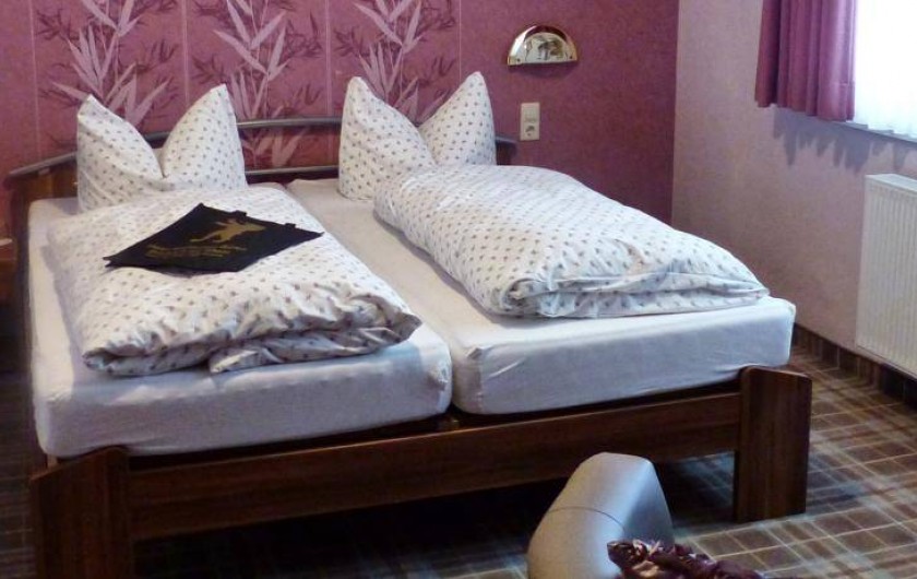 Location de vacances - Hôtel - Auberge à Vieux-Brisach