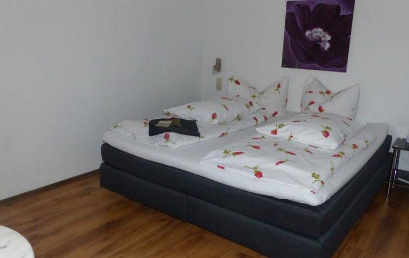 Location de vacances - Hôtel - Auberge à Vieux-Brisach