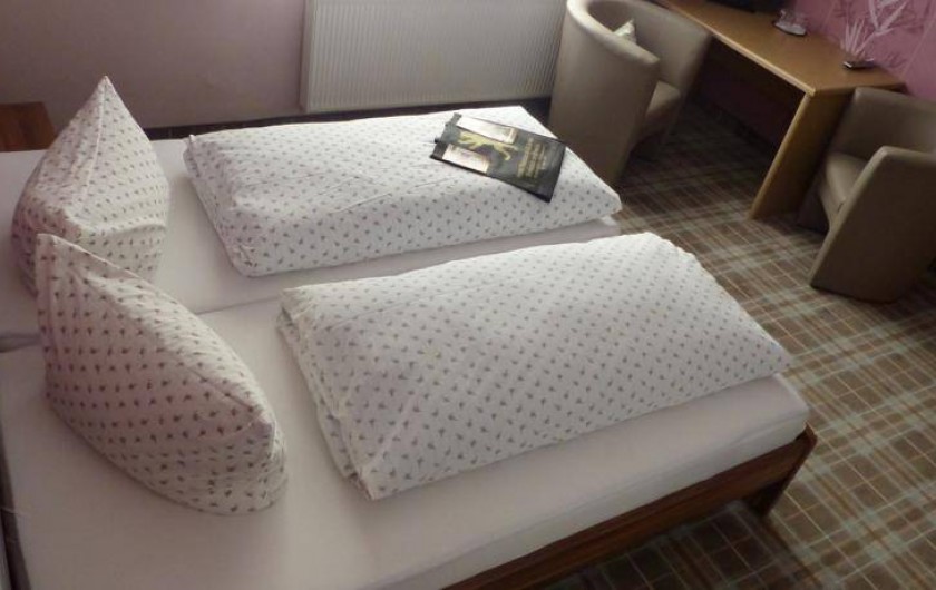 Location de vacances - Hôtel - Auberge à Vieux-Brisach