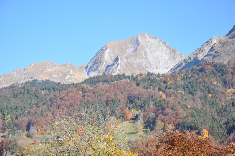 Location de vacances - Chalet à Thônes