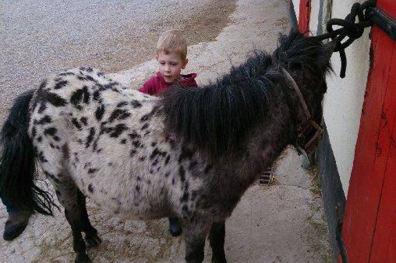 Location de vacances - Gîte à Saint-Martin-Choquel