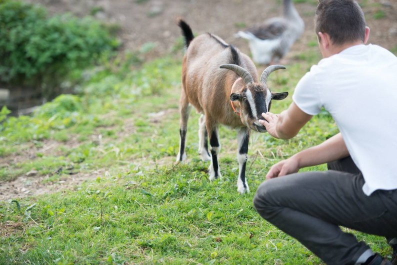 Location de vacances - Gîte à Saint-Martin-Choquel