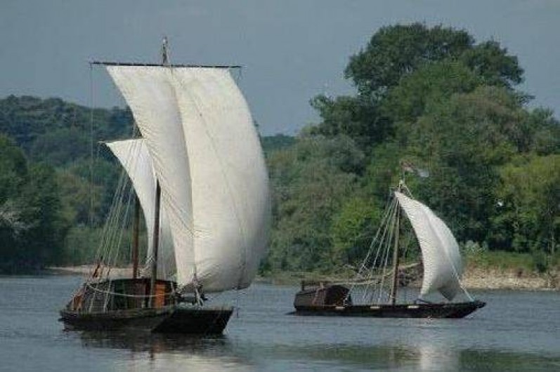 Location de vacances - Maison - Villa à Fondettes