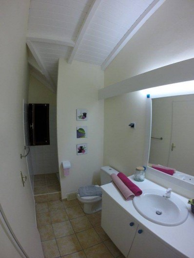 Location de vacances - Appartement à Bouillante