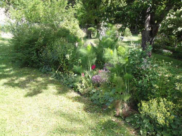 Location de vacances - Chambre d'hôtes à Saint-Loup-de-Naud - Joyeux mélange d'alchémilles, ails d'ornement et rosiers